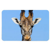 Magnet Flexible Giraffe (Horizontal)