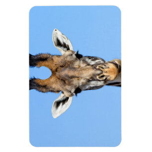 Magnet Flexible Giraffe