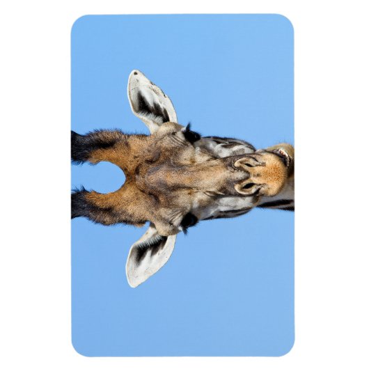 Magnet Flexible Giraffe (Vertical)