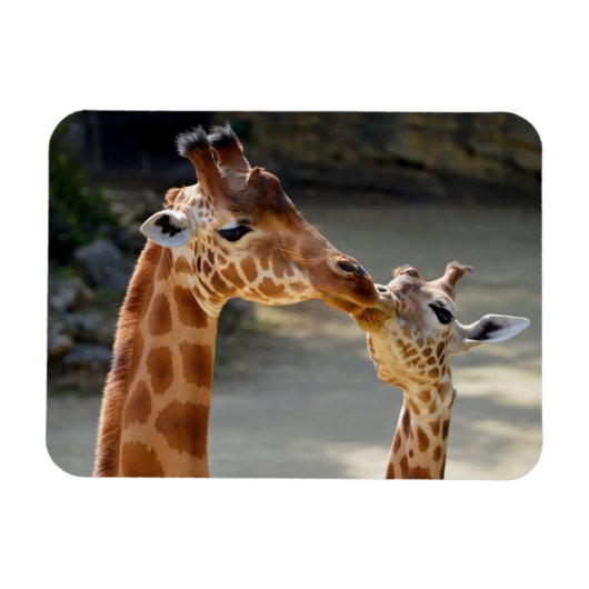 Magnet Flexible Giraffe et son bébé (Horizontal)