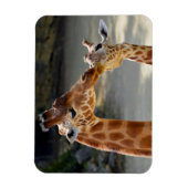 Magnet Flexible Giraffe et son bébé (Vertical)