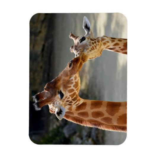 Magnet Flexible Giraffe et son bébé (Vertical)