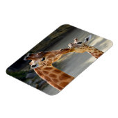 Magnet Flexible Giraffe et son bébé (Côté Gauche)