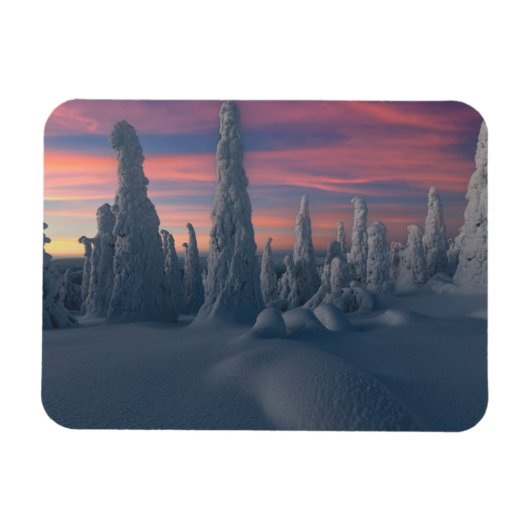 Magnet Flexible Glace et neige | Arbres couverts de neige, Laponie (Horizontal)