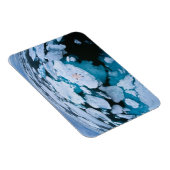 Magnet Flexible Glace et neige | Ours polaire, Océan Arctique, Sva (Côté Droit)