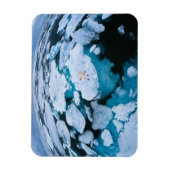 Magnet Flexible Glace et neige | Ours polaire, Océan Arctique, Sva (Vertical)