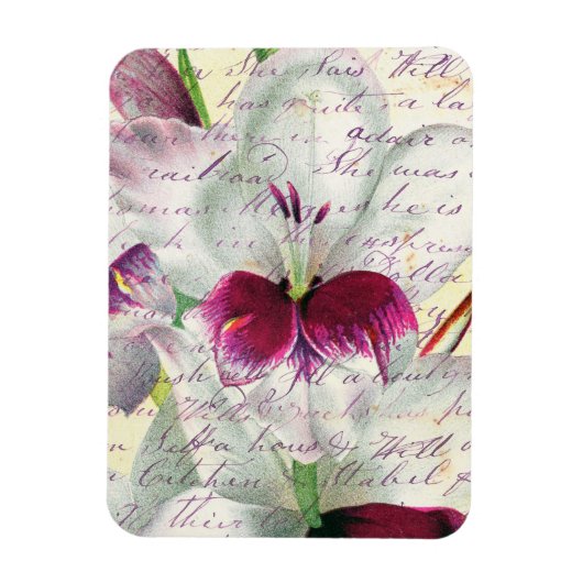Magnet Flexible gladiolus art calligraphie collage (Vertical)