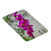 Magnet Flexible Gladiolus byzantin (Côté Droit)