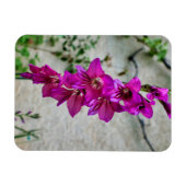 Magnet Flexible Gladiolus byzantin (Horizontal)