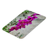 Magnet Flexible Gladiolus byzantin (Côté Gauche)