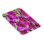 Magnet Flexible Gladiolus byzantin (Côté Droit)