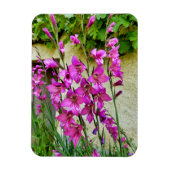 Magnet Flexible Gladiolus byzantin (Vertical)