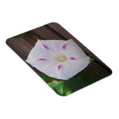 Magnet Flexible Gloire du matin (Côté Droit)