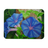 Magnet Flexible Gloire du matin (Horizontal)