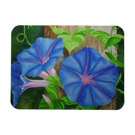 Magnet Flexible Gloire du matin (Horizontal)