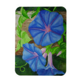 Magnet Flexible Gloire du matin (Vertical)