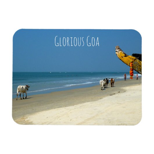 Magnet Flexible Glorious Goa - vaches sur la plage à South Goa (Horizontal)