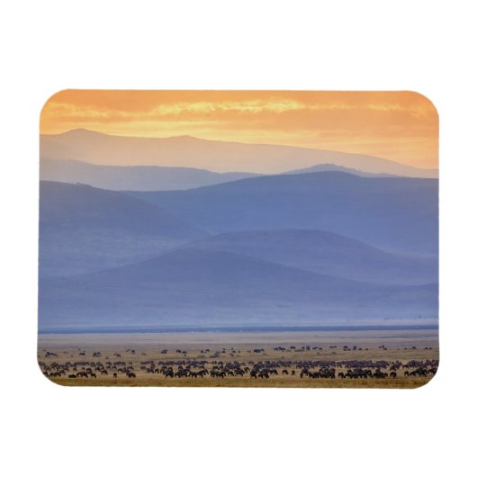Magnet Flexible Gnou pendant la migration, Connochaetes (Horizontal)