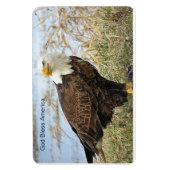 Magnet Flexible "God Bless America" Bientôt Eagle on flex 4 (Vertical)