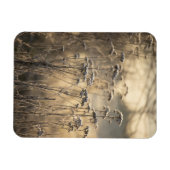 Magnet Flexible Golden Frosty Matin Flamand Campagne (Horizontal)