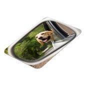 Magnet Flexible Golden Labrador En Réarview Mirror (Côté Gauche)