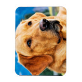 Magnet Flexible Golden Labrador Retriever (Vertical)