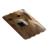 Magnet Flexible Golden Pup (Côté Droit)