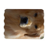 Magnet Flexible Golden Pup (Horizontal)