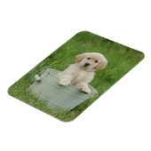 Magnet Flexible Golden Retriever (Côté Gauche)