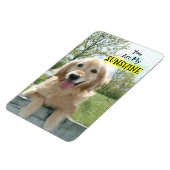 Magnet Flexible Golden Retriever Chien sur la clôture Vous êtes mo (Côté Gauche)