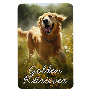 Magnet Flexible Golden Retriever dans une prairie éclairée