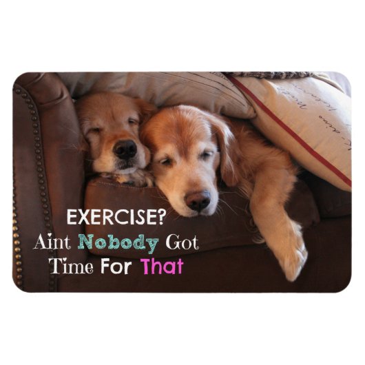 Magnet Flexible Golden Retriever Exercice Démotivationnel (Horizontal)