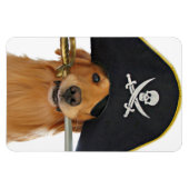 Magnet Flexible Golden Retriever Halloween Pirate (Horizontal)