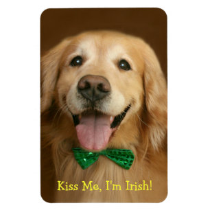 Magnet Flexible Golden Retriever Kiss Me Im Irish St. Patty