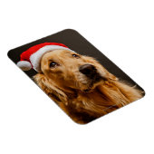 Magnet Flexible Golden Retriever pose pour son Noël (Côté Droit)