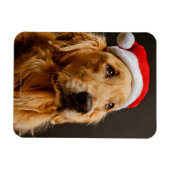 Magnet Flexible Golden Retriever pose pour son Noël (Horizontal)