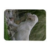 Magnet Flexible Golden Retriever Puppy Standing (Horizontal)