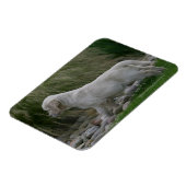 Magnet Flexible Golden Retriever Puppy Standing (Côté Gauche)