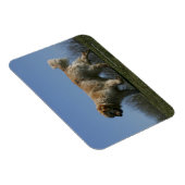 Magnet Flexible Golden Retriever Running 3 (Côté Droit)