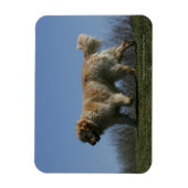 Magnet Flexible Golden Retriever Running 3 (Vertical)