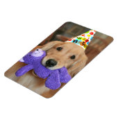 Magnet Flexible Golden Retriever with Happy Birthday Casquette and (Côté Gauche)