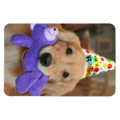 Magnet Flexible Golden Retriever with Happy Birthday Casquette and (Horizontal)
