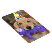 Magnet Flexible Golden Retriever with Happy Birthday Casquette and (Côté Droit)