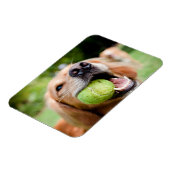 Magnet Flexible Golden Retriever With Tennis (Côté Gauche)