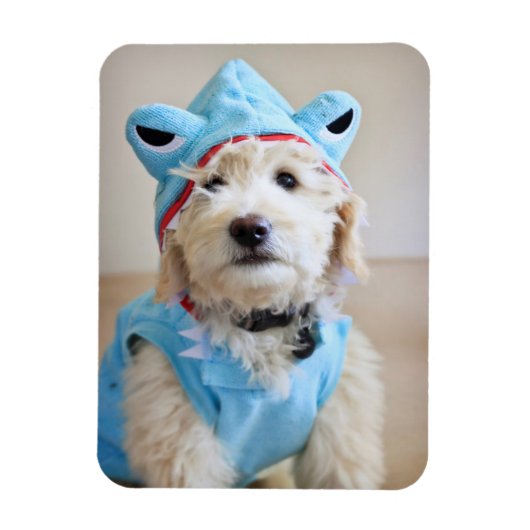 Magnet Flexible Goldendoodle En Costume De Requin (Vertical)