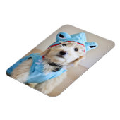 Magnet Flexible Goldendoodle En Costume De Requin (Côté Gauche)