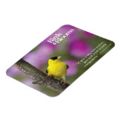 Magnet Flexible Goldfinch (Côté Gauche)