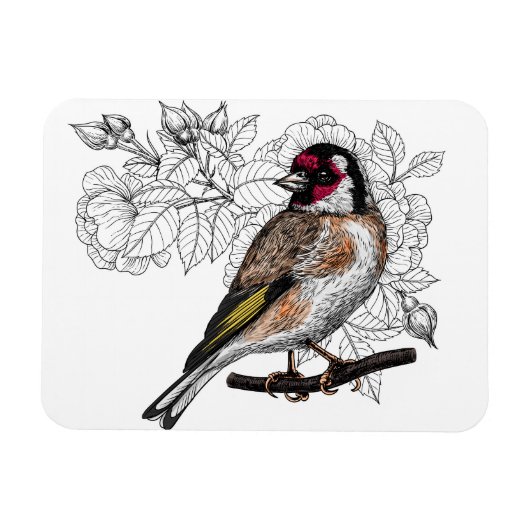 Magnet Flexible Goldfinch et rose (Horizontal)