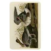 Magnet Flexible Goose à face blanche (Vertical)