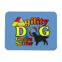Gordon Setter Agilité